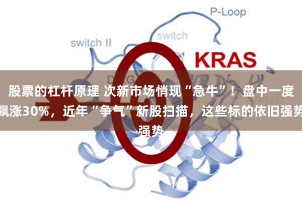 股票的杠杆原理 次新市场悄现“急牛”！盘中一度飙涨30%，近年“争气”新股扫描，这些标的依旧强势