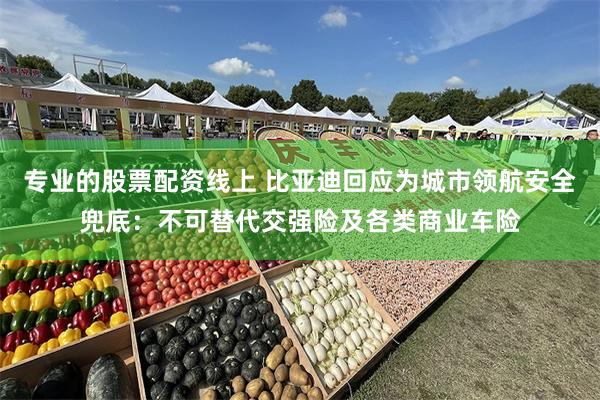 专业的股票配资线上 比亚迪回应为城市领航安全兜底：不可替代交强险及各类商业车险