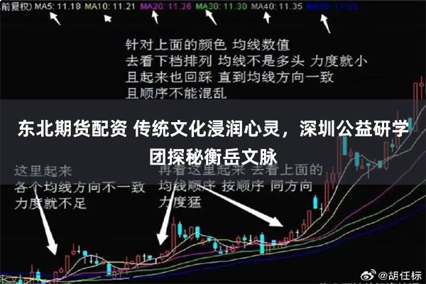 东北期货配资 传统文化浸润心灵，深圳公益研学团探秘衡岳文脉